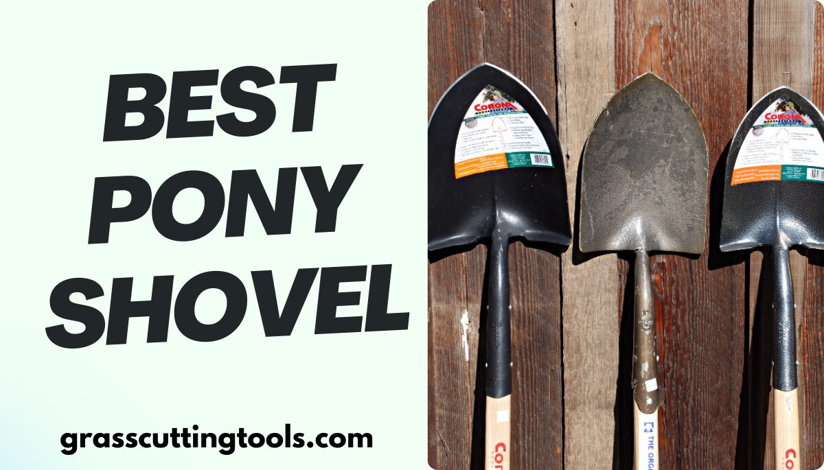 Finding The Best Pony Shovel For Stable Care 2024