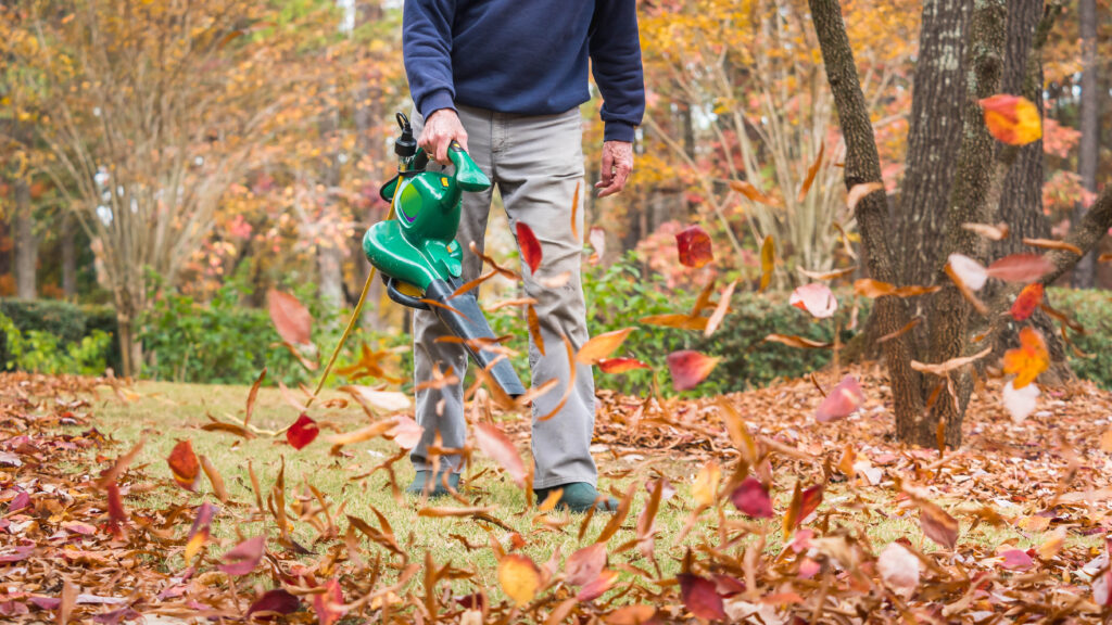 Guide Landscaping Fall Leaf Cleanup Cost 2024