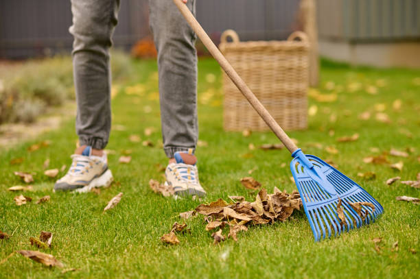 Guide Landscaping Fall Leaf Cleanup Cost 2024