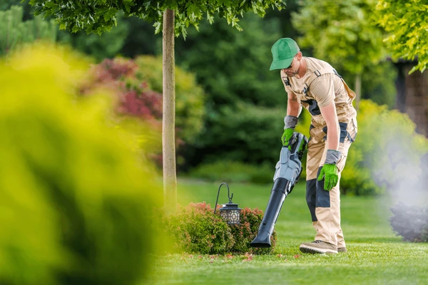 Guide Landscaping Fall Leaf Cleanup Cost 2024