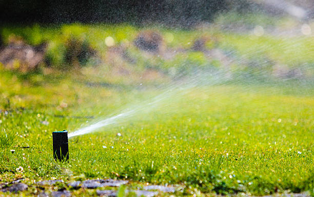 How Much Does A Sprinkler System Cost In 2024 Best Guide