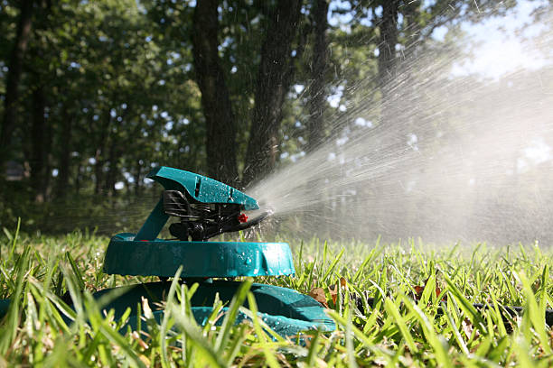 How Much Does a Sprinkler System Cost In 2024