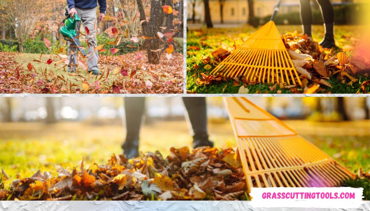 Landscaping Fall Leaf Cleanup Cost