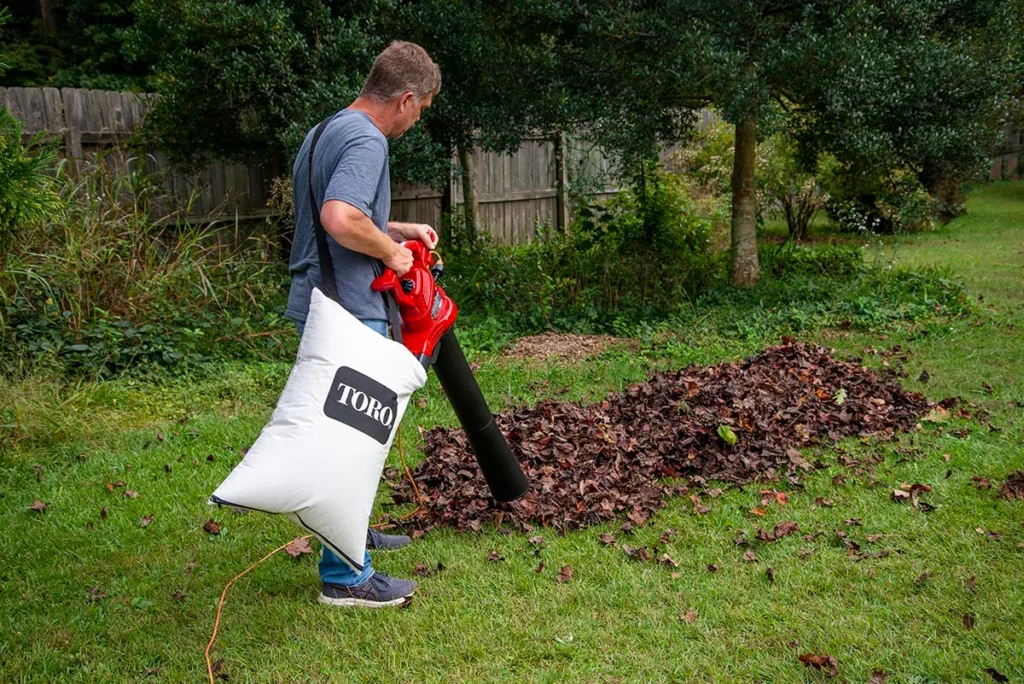 Guide Landscaping Fall Leaf Cleanup Cost 2024