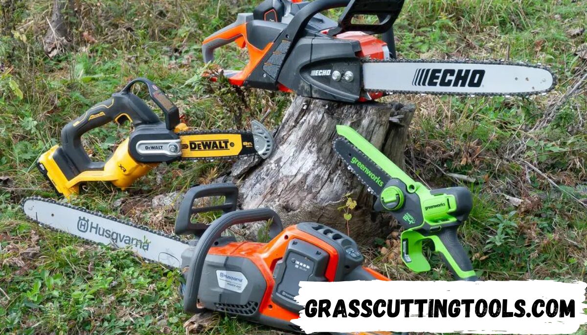 Best Top 6 Chainsaws & Key Components of a Chainsaw