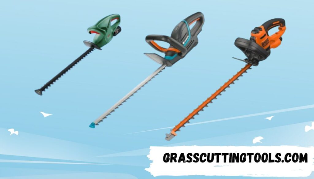 10 Best Hedge Trimmers