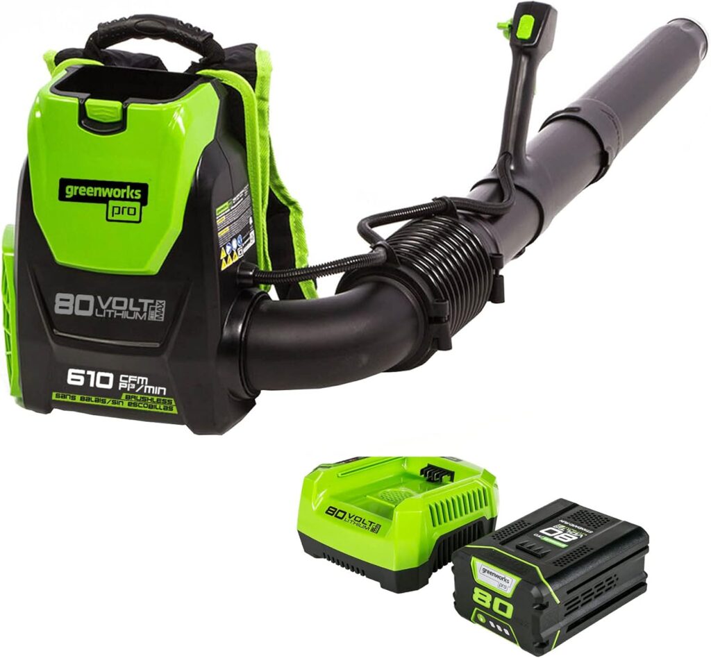 Greenworks Pro 80V Backpack Blower