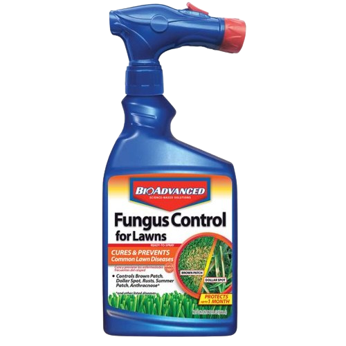 Best Lawn Fungicides 