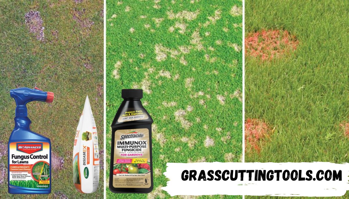 The 10 Best Lawn Fungicides Of 2024